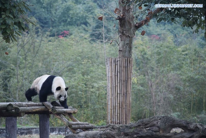 XINHUA PHOTO WEEKLY CHOICES